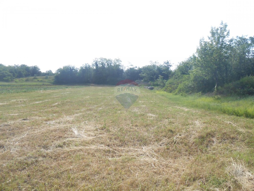 Image 5430597 - 4