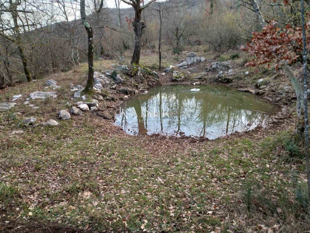 Image 10