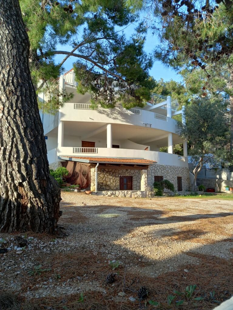 Image 3838494 - 3