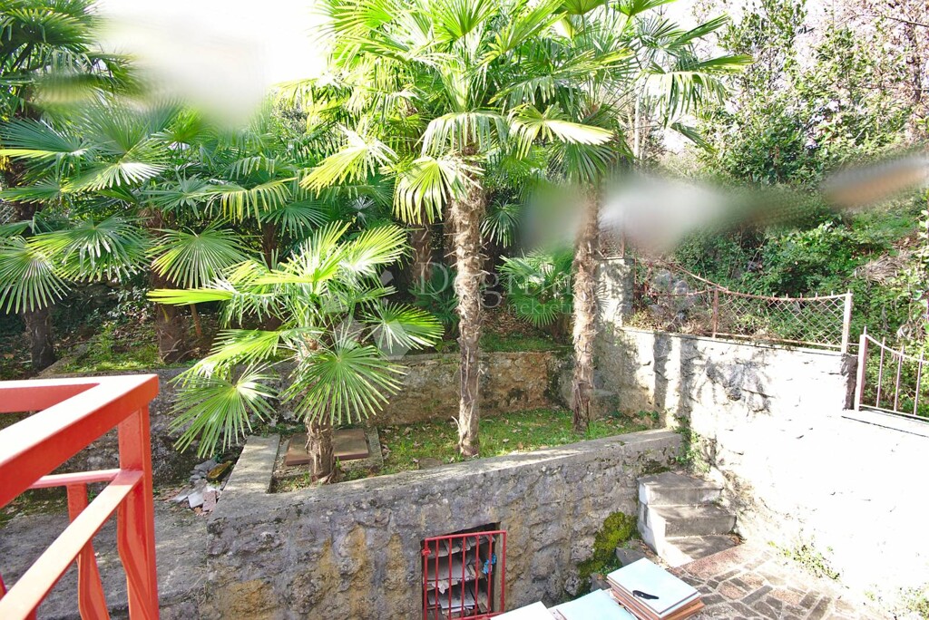 Image 21