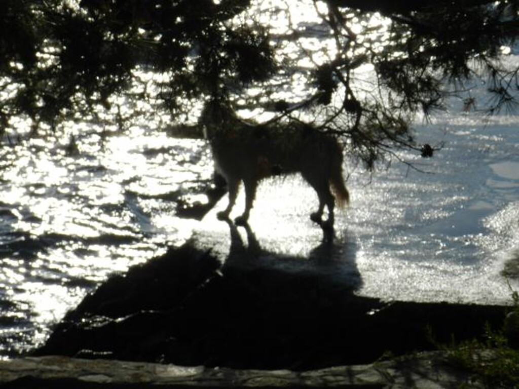 Image 3811847 - 5
