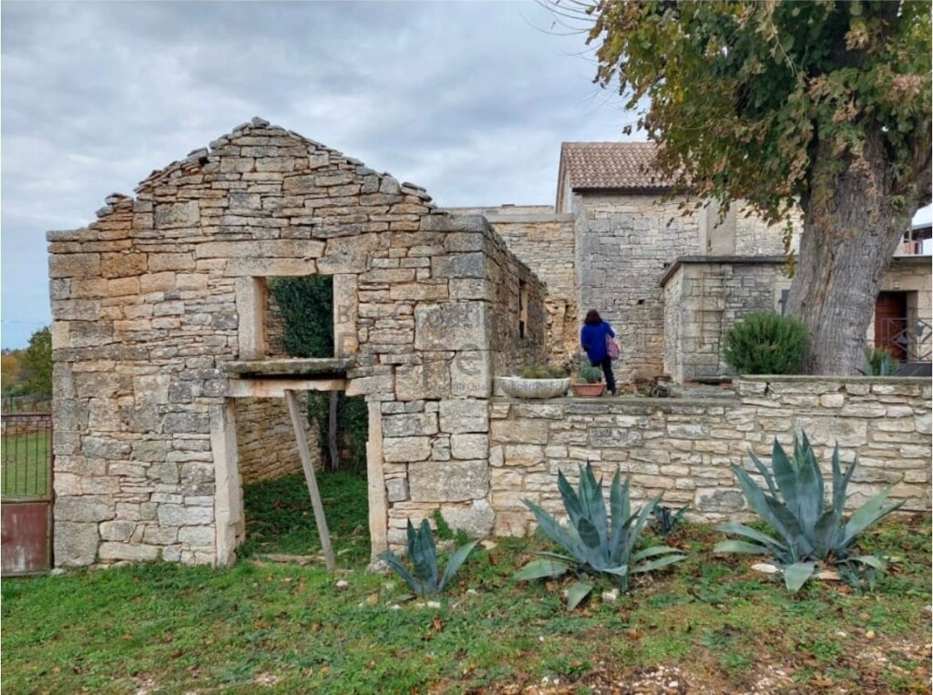 Image 15