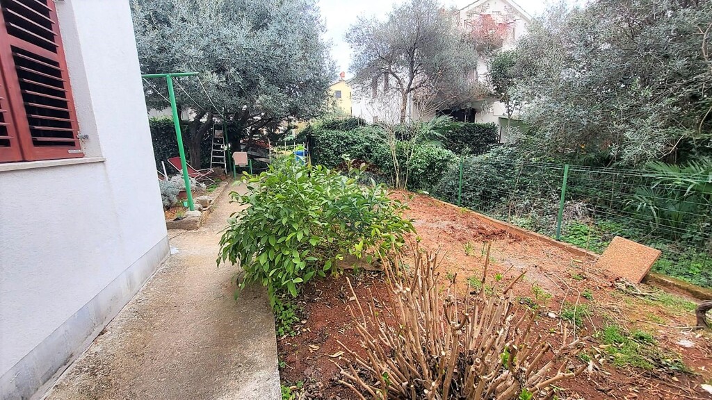 Image 13
