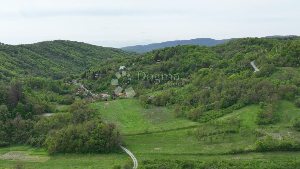 Image 15