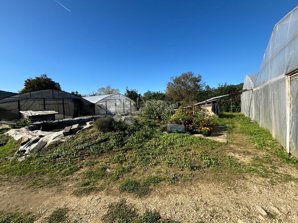 Image 20