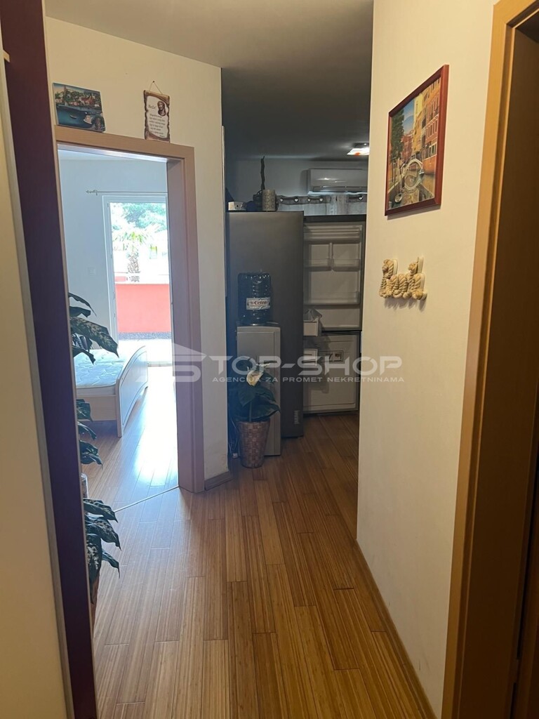 Image 6