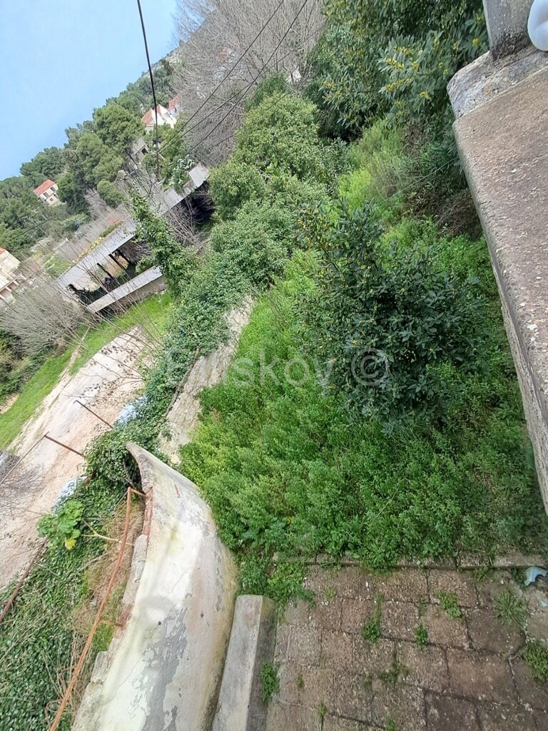 Image 20