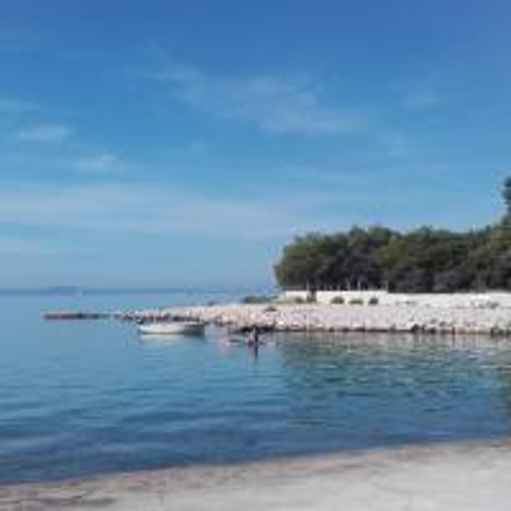 Image 3814836 - 11