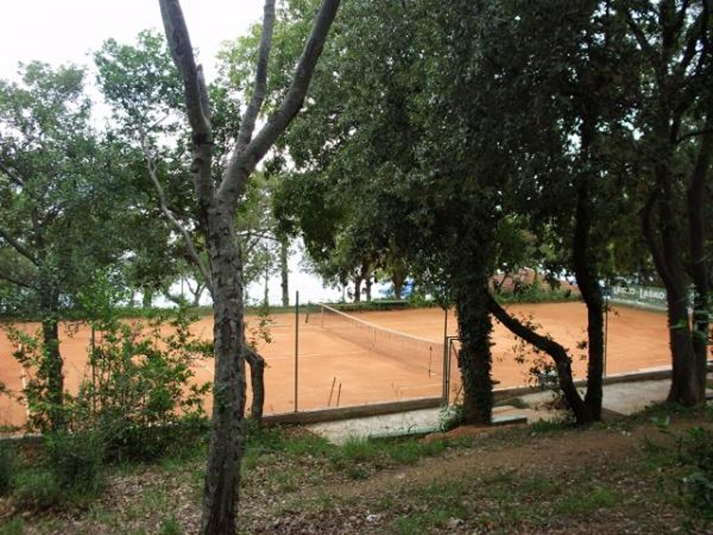 Image 3810867 - 19