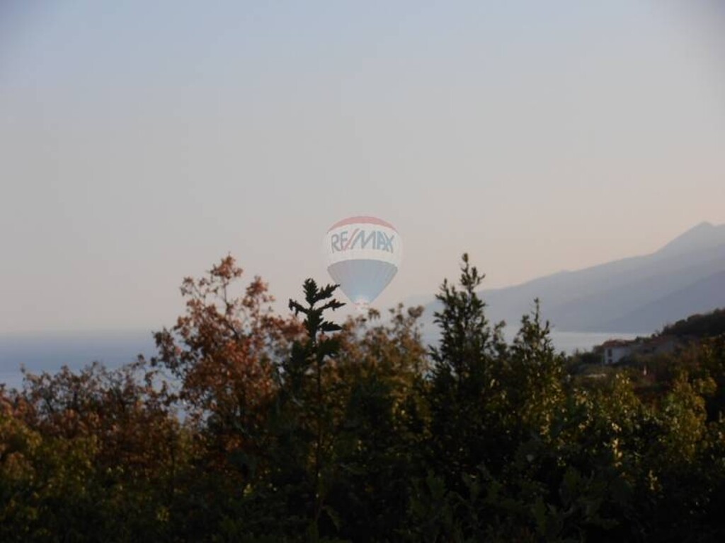 Image 5411291 - 2