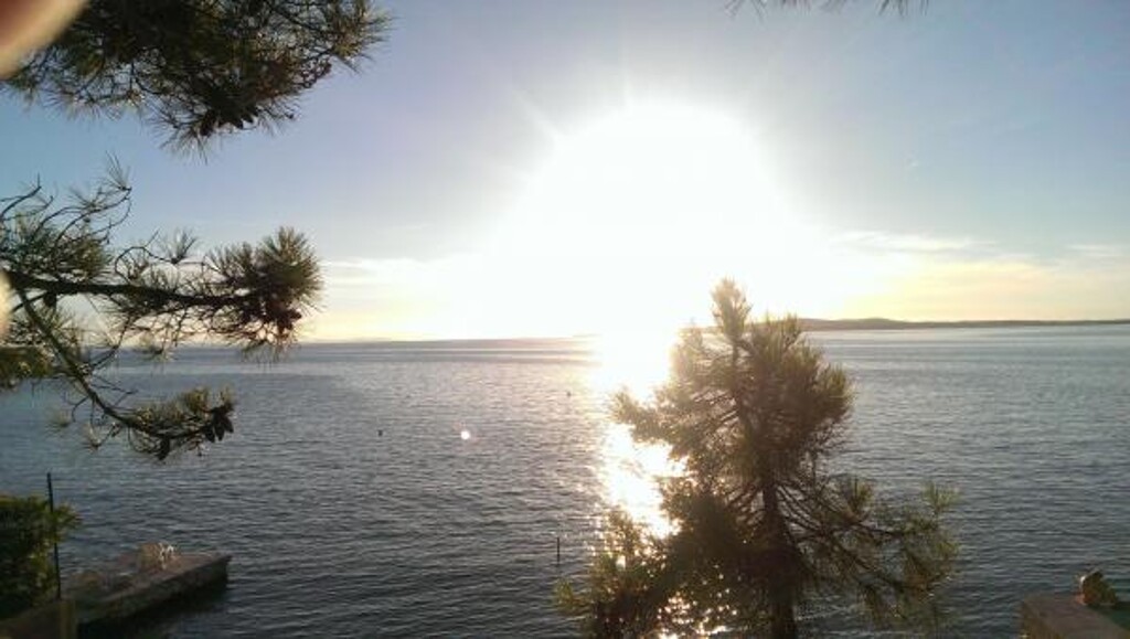 Image 3838612 - 14