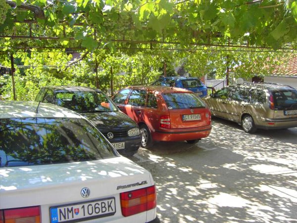 Image 3811207 - 11