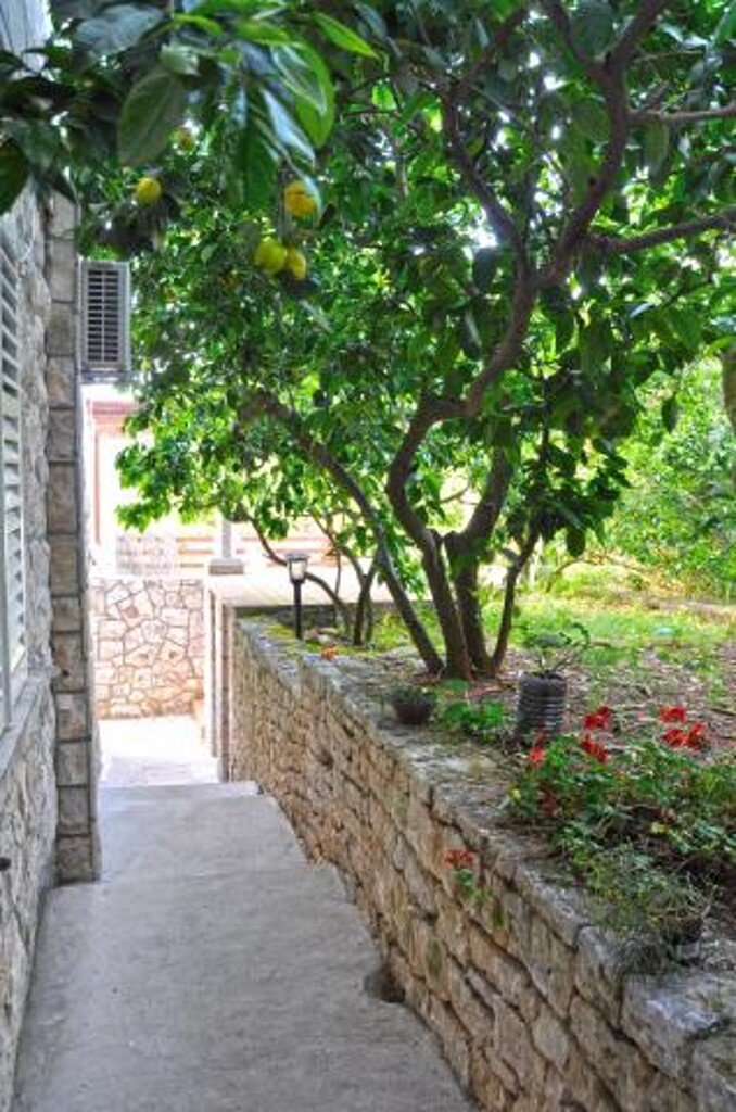 Image 3810946 - 5