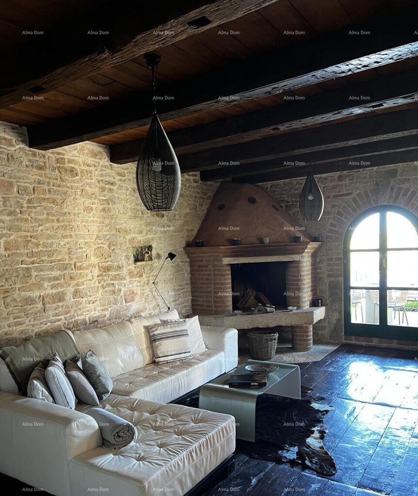 Image 12