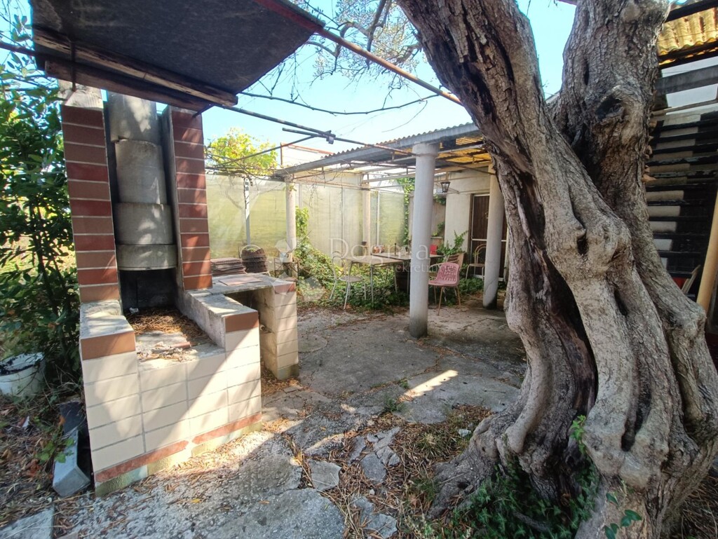 Image 13