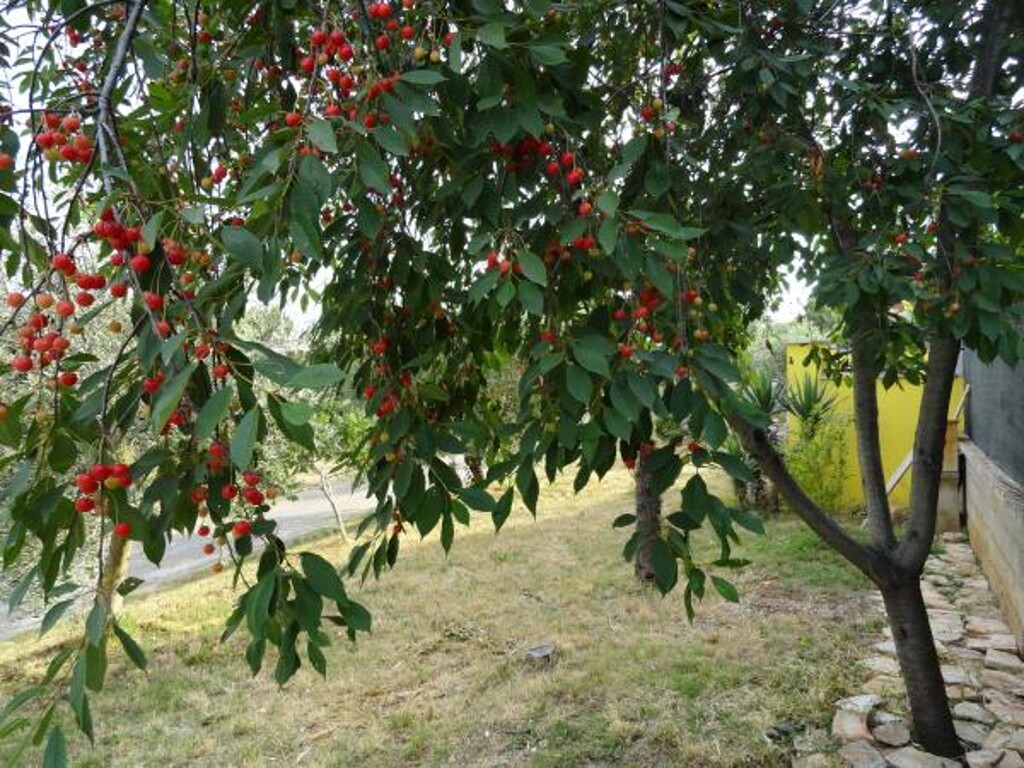 Image 3812423 - 10