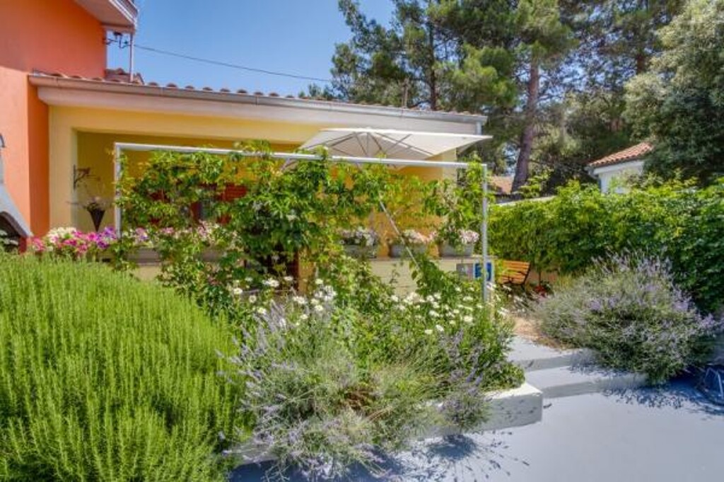 Image 3814358 - 7
