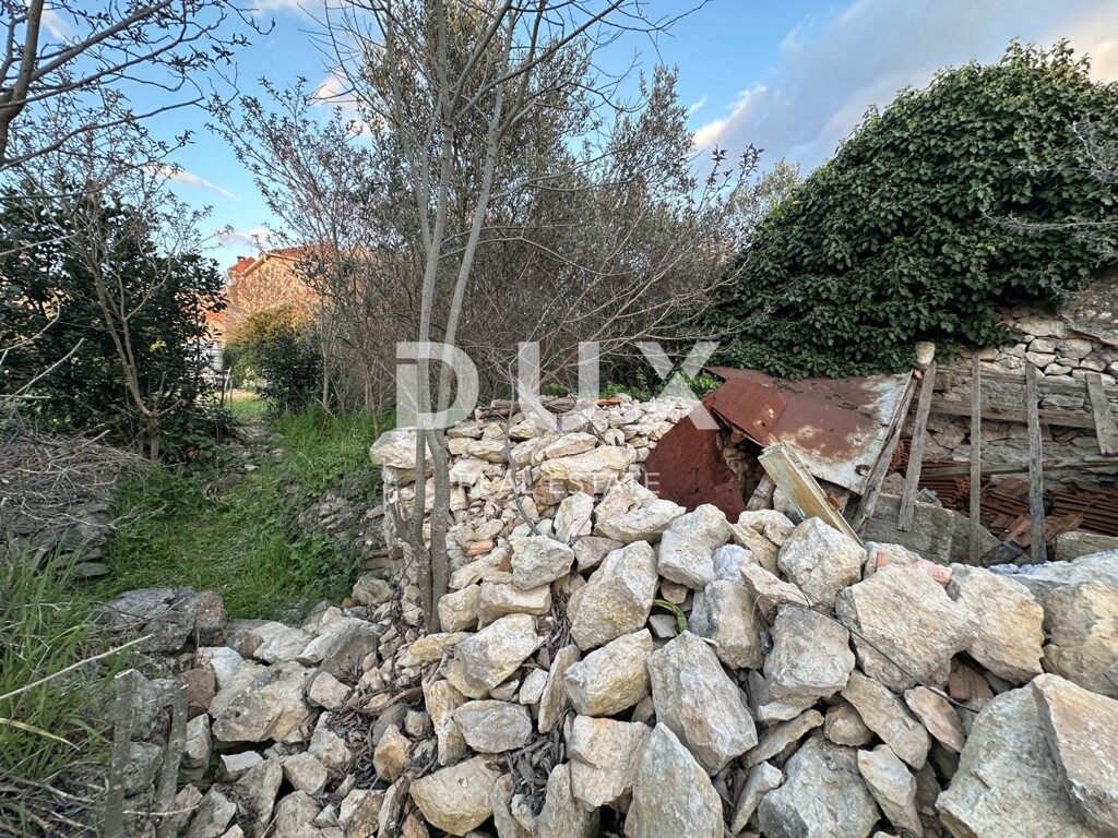 Image 11