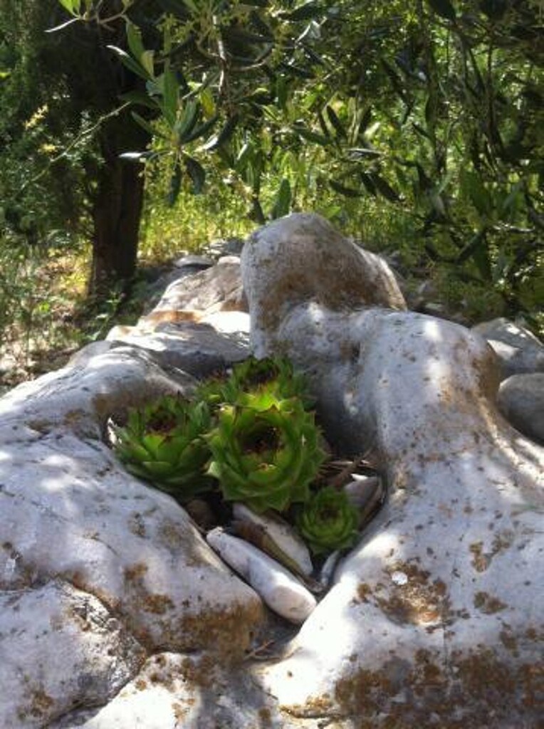 Image 12