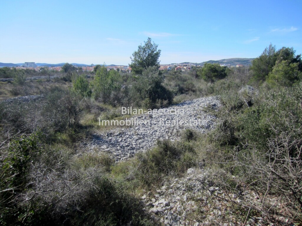 Image 5209844 - 7
