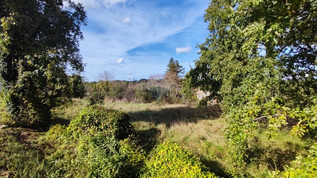 Image 5429104 - 2