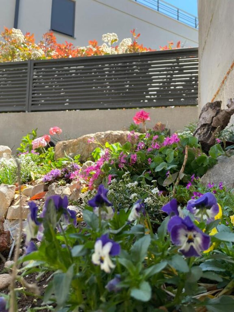 Image 3812601 - 20