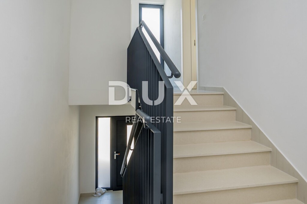 Image 13
