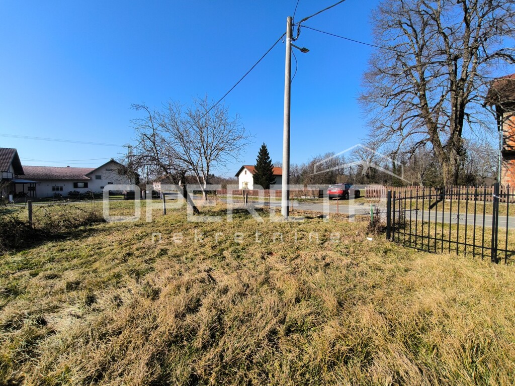 Image 13