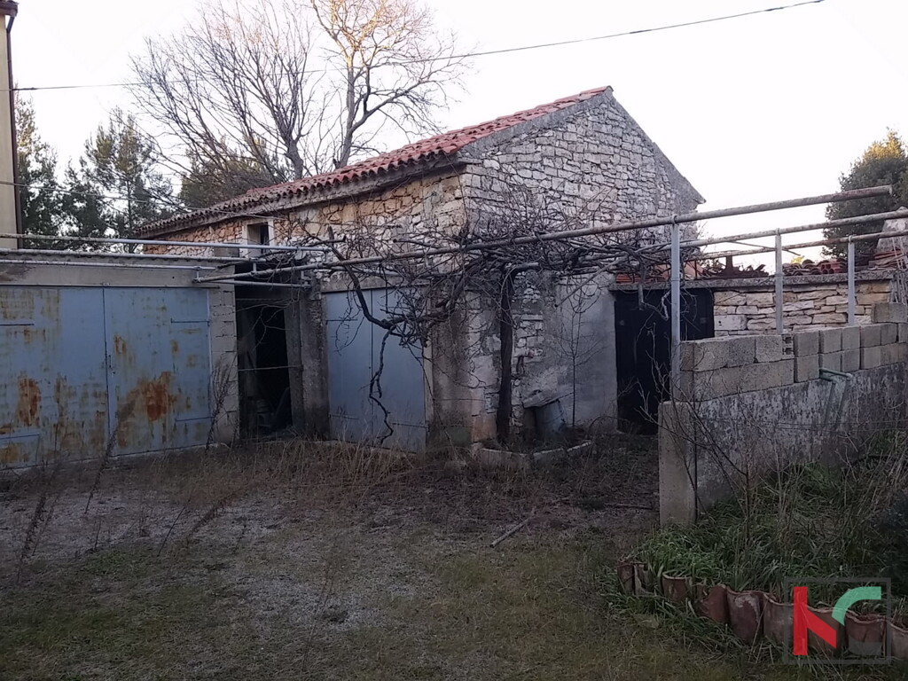 Image 8
