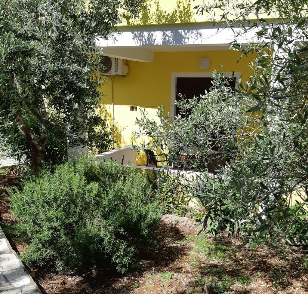 Image 3812611 - 8