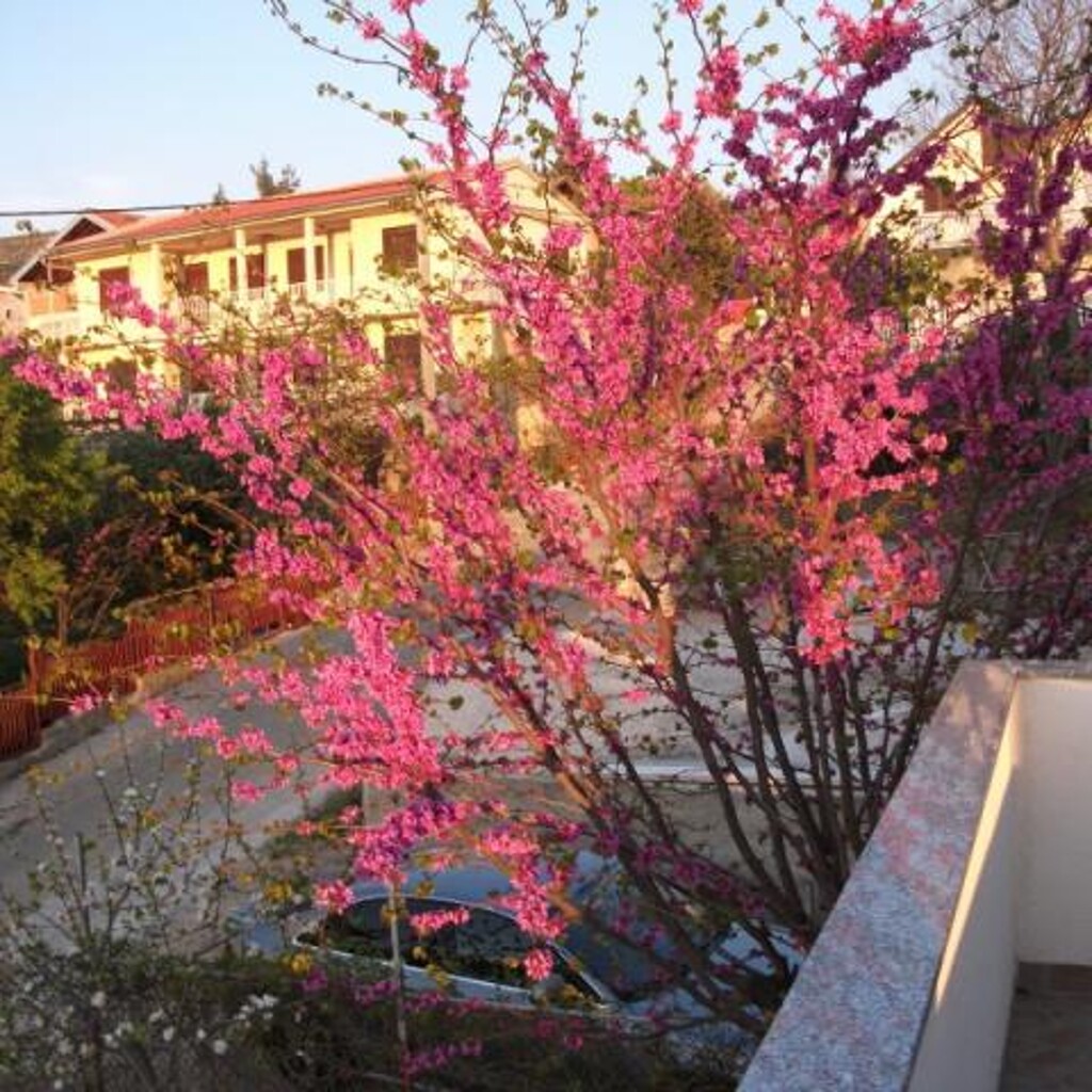 Image 3814504 - 5