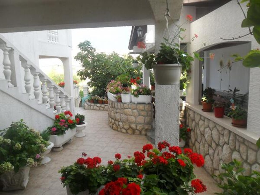 Image 3838916 - 9