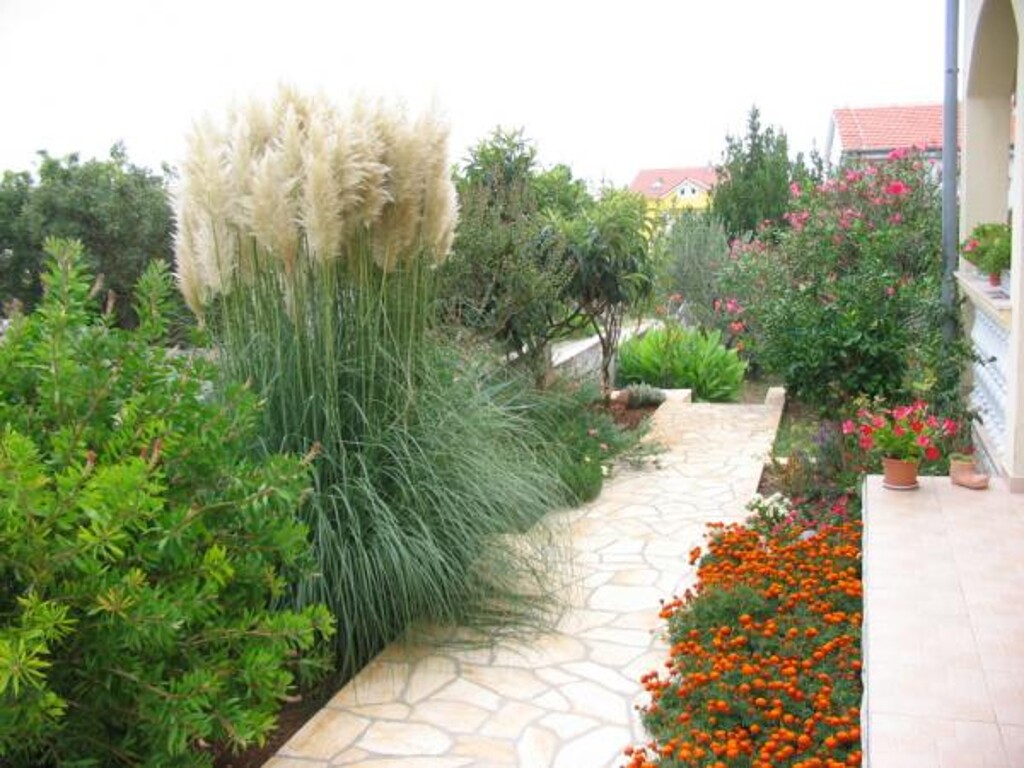 Image 3810736 - 20
