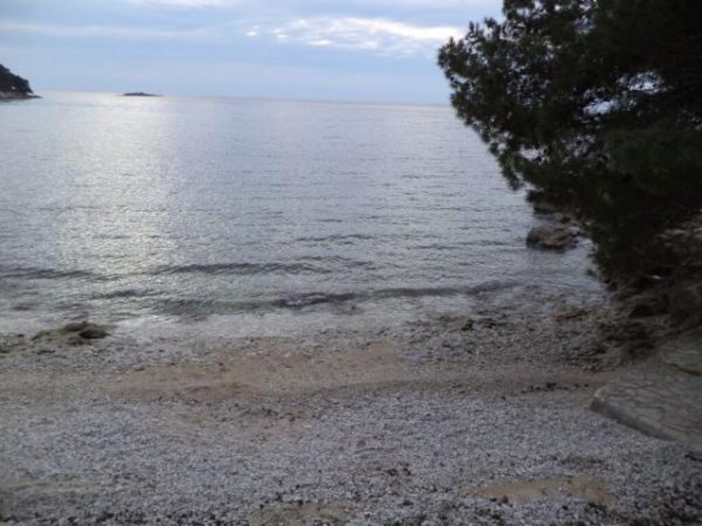 Image 3838948 - 8