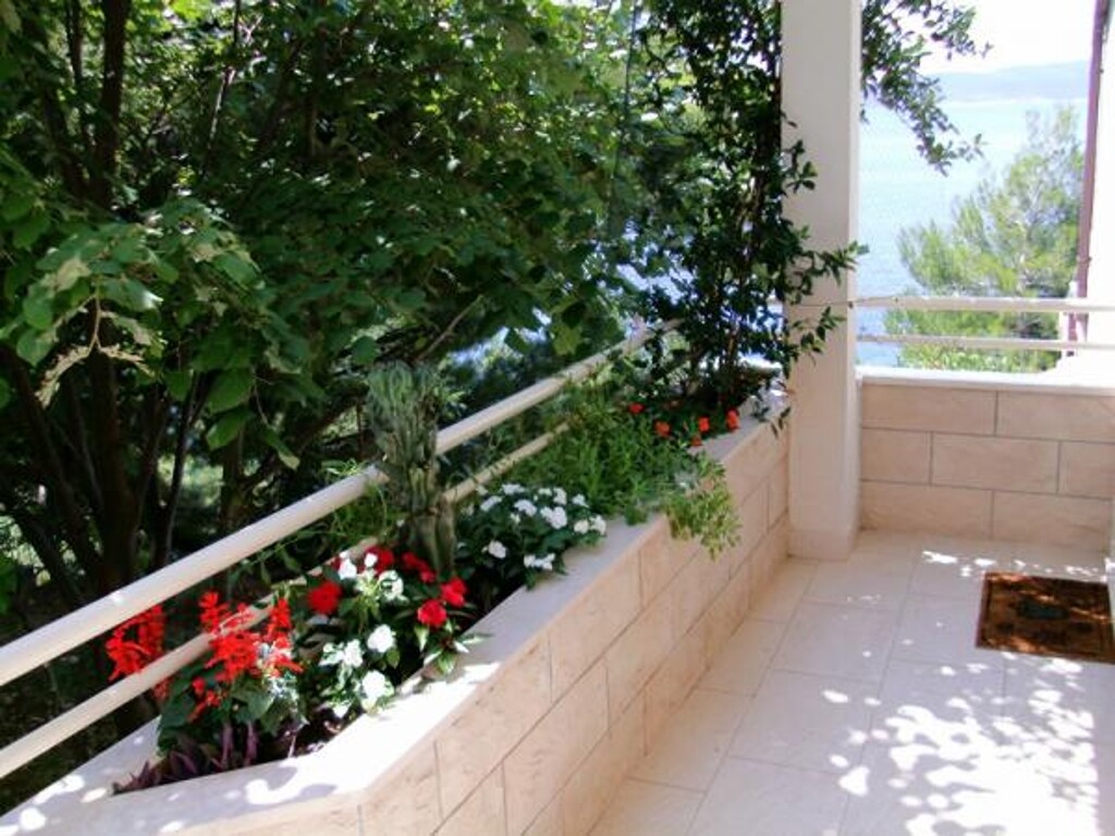 Image 3838565 - 6