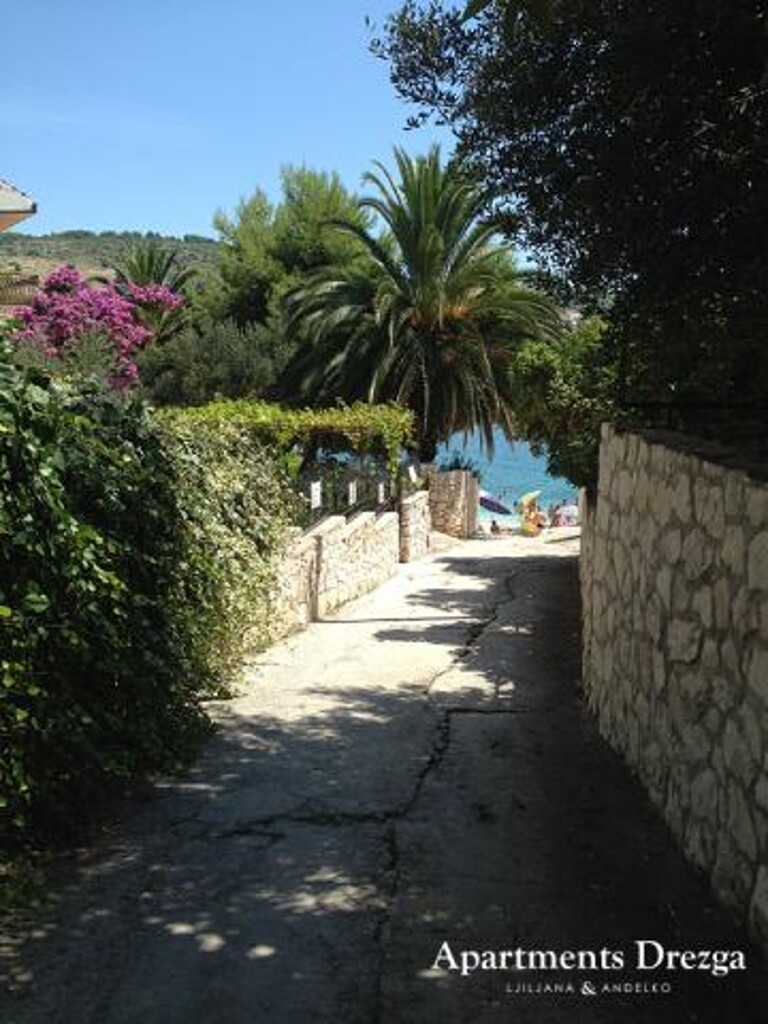 Image 3811608 - 2