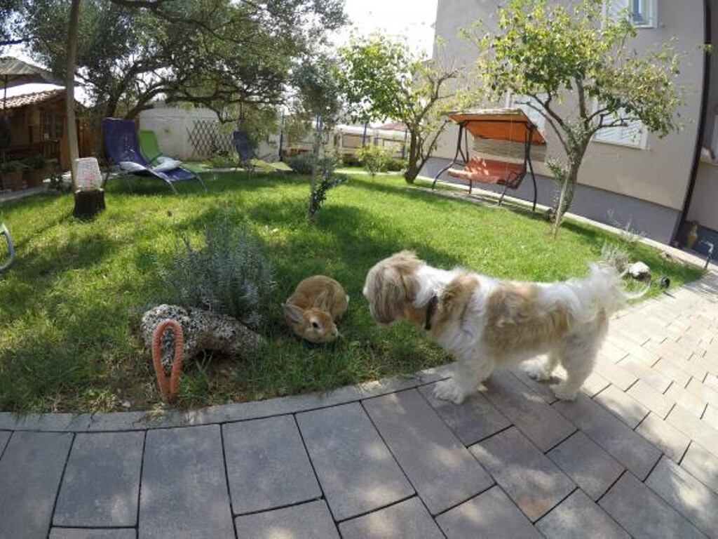 Image 3810731 - 9