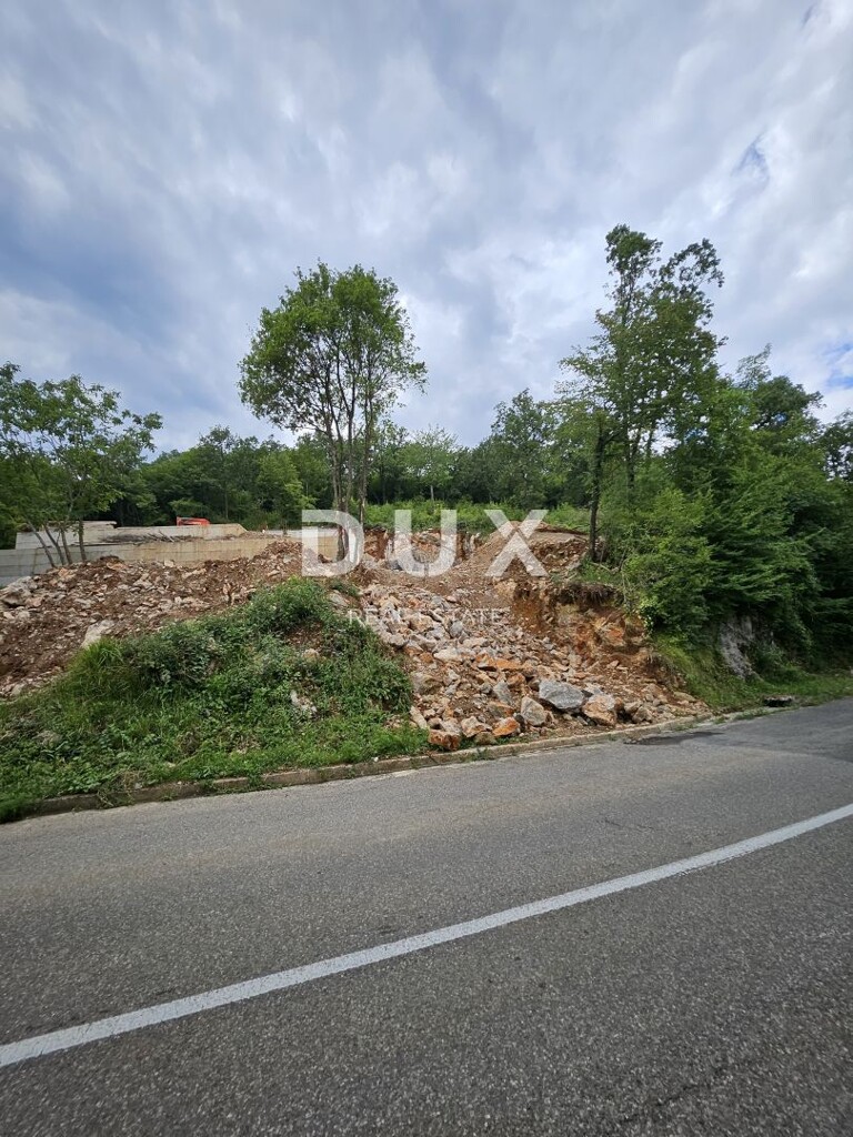 Image 21