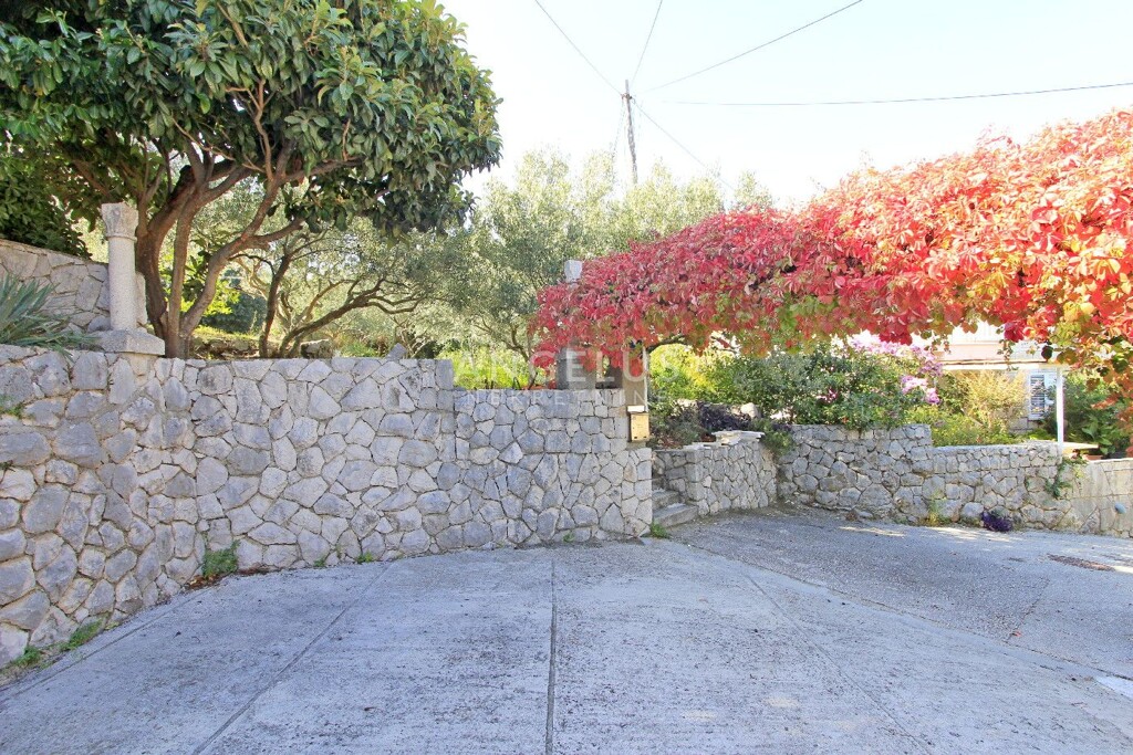 Image 6208809 - 8