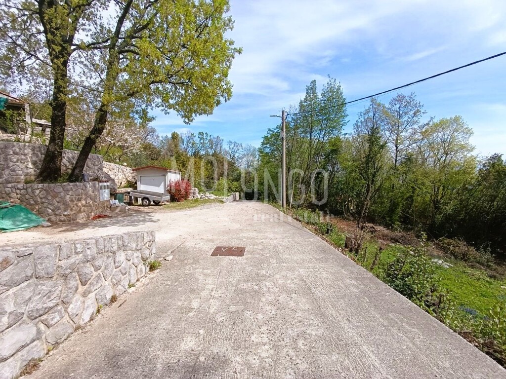Image 13