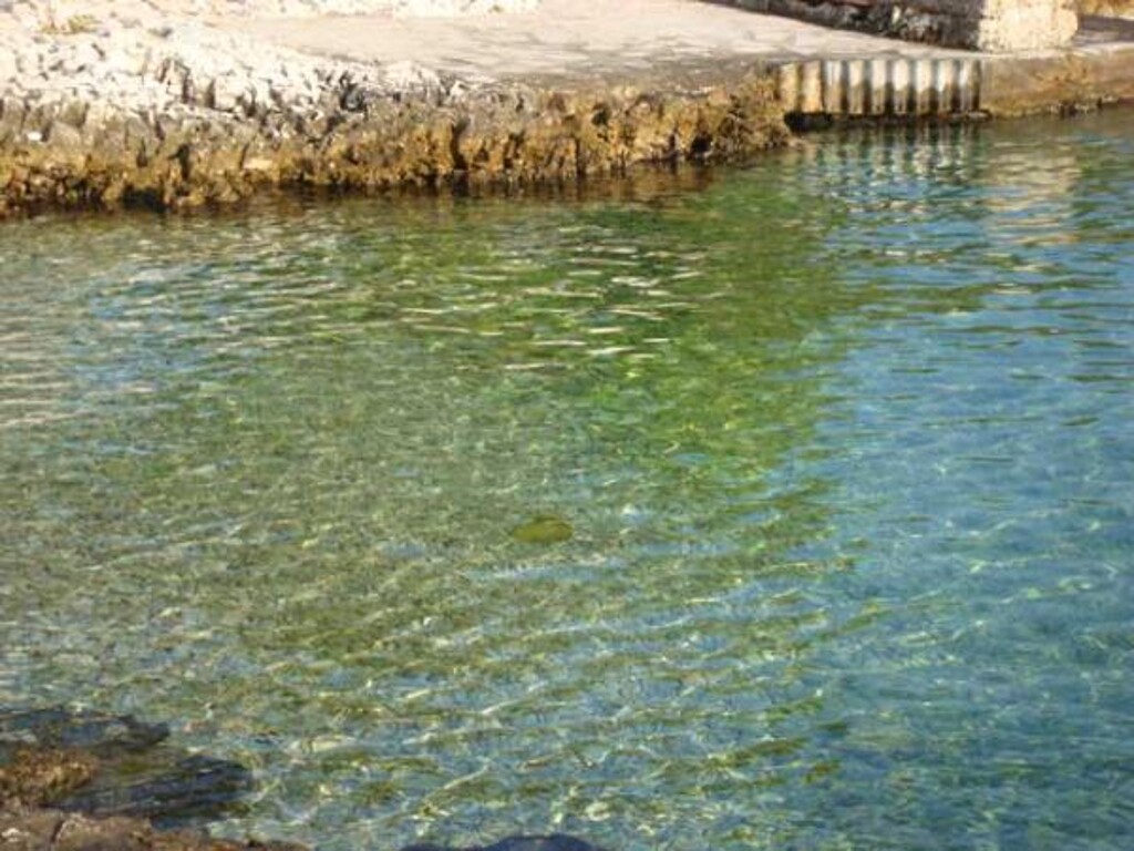 Image 3811474 - 5
