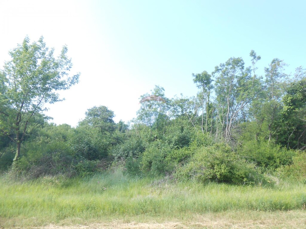 Image 5430597 - 6