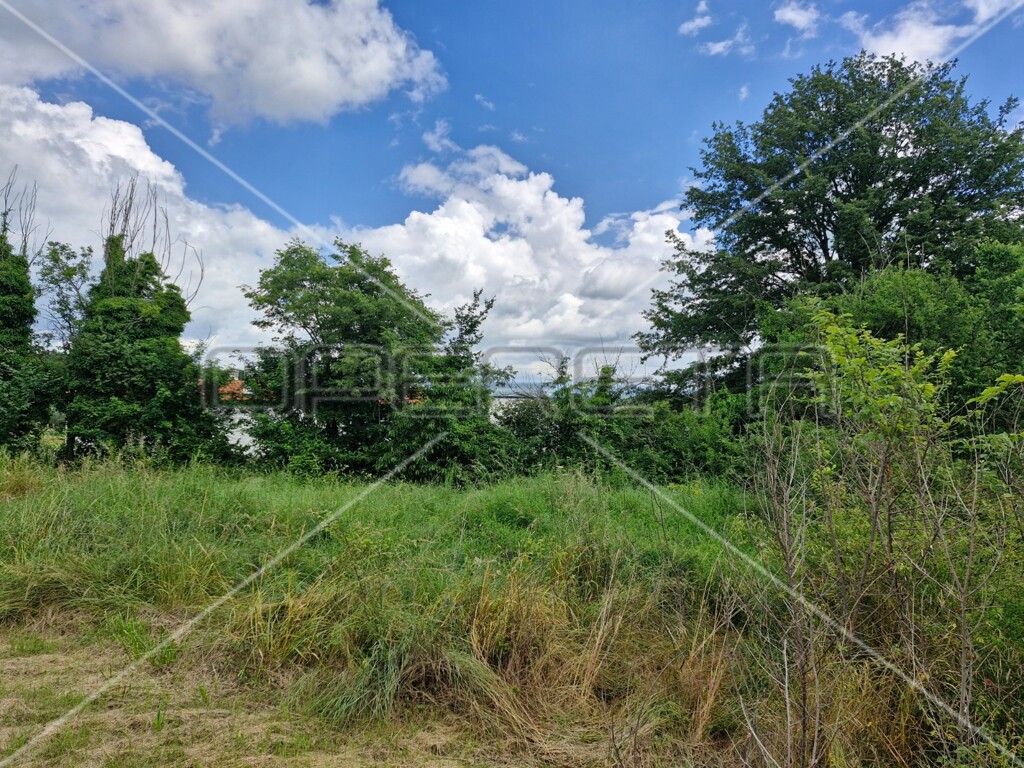 Image 6159174 - 4