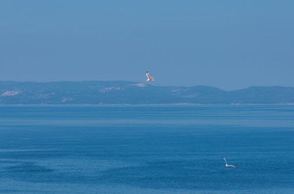 Image 3810568 - 33