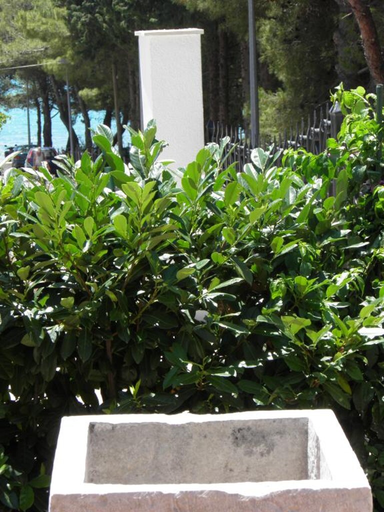 Image 3813694 - 14