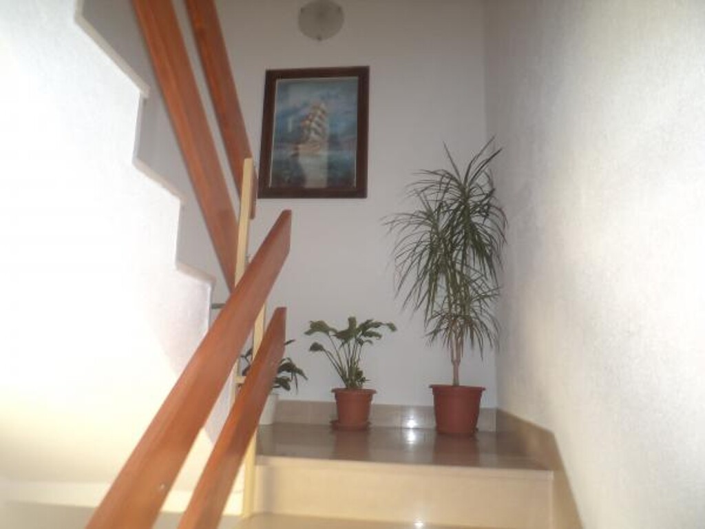 Image 3832225 - 6