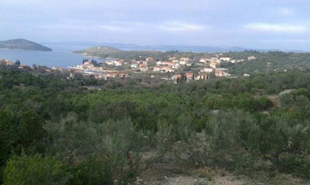 Image 3811771 - 8