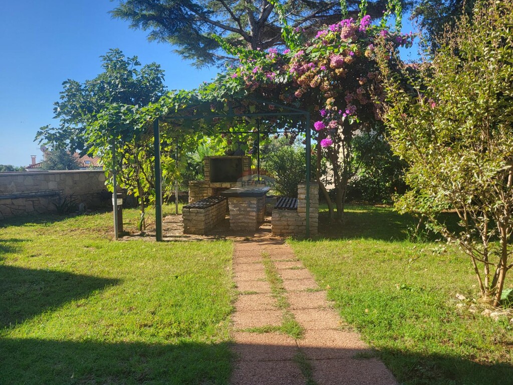 Image 23