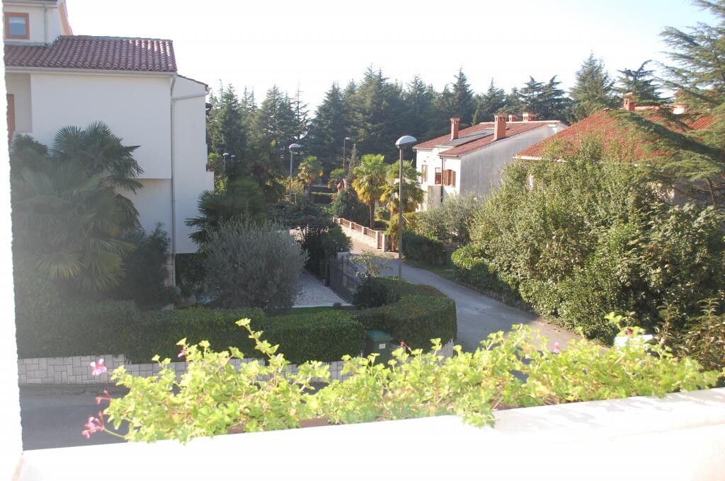 Image 3811738 - 6