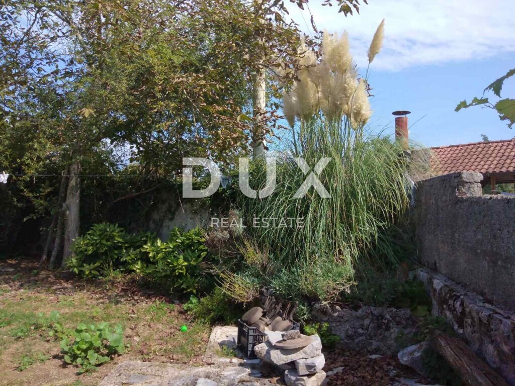 Image 20